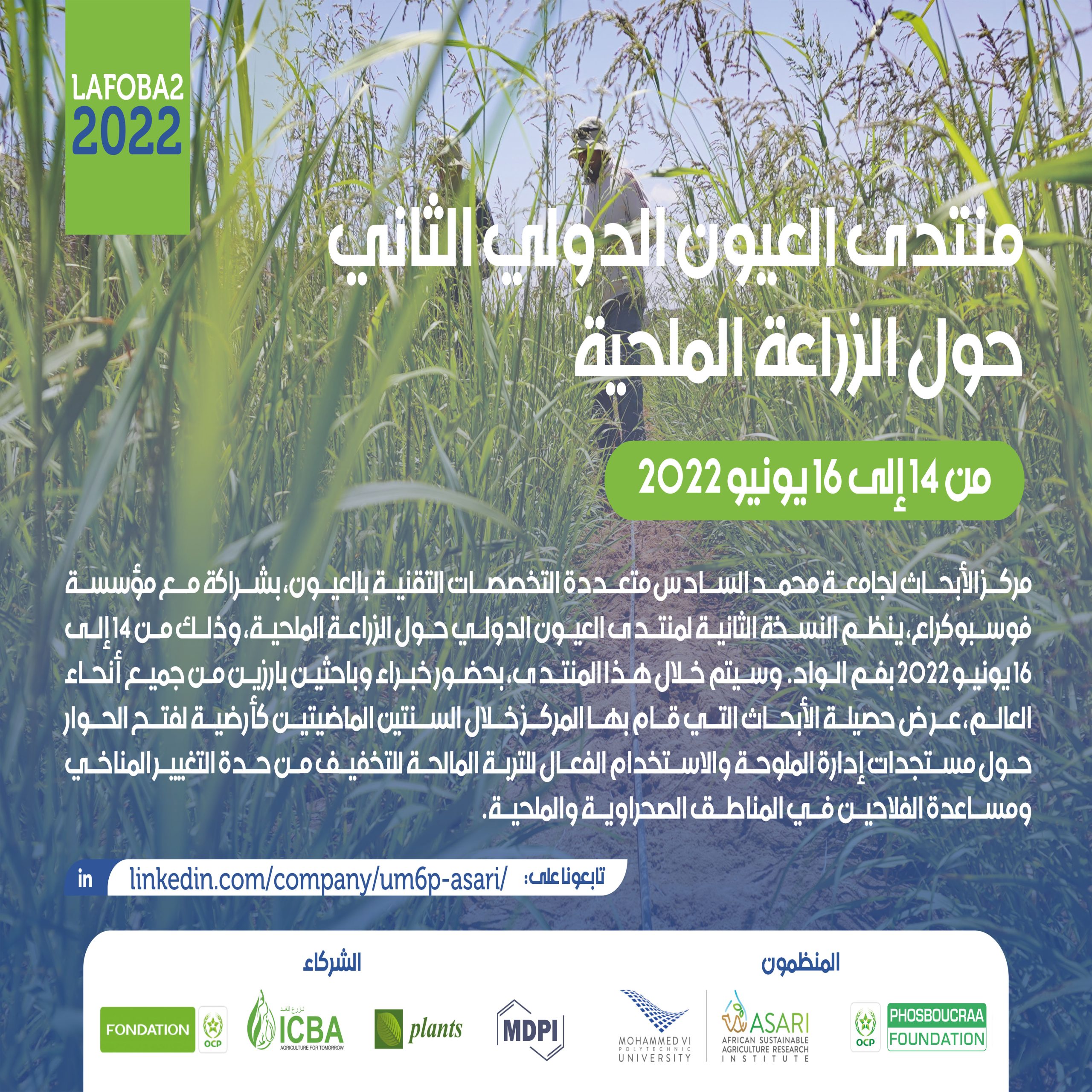LAFOBA2 2022