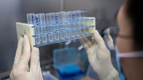 (FILES) In this file picture taken on April 29, 2020, an engineer works at the Quality Control Laboratory on an experimental vaccine for the COVID-19 coronavirus at the Sinovac Biotech facilities in Beijing. - The global death toll from the coronavirus pandemic topped a quarter of a million on May 5, 2020, with the US government predicting a further surge in fatalities as an international vaccine drive garnered 8 billion USD in pledges. (Photo by NICOLAS ASFOURI / AFP)